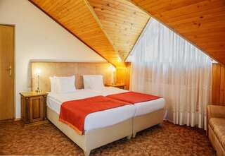 Отель ДиАнна Сходница Двухместный с 1 кроватью или 2 отдельными кроватями и душем-8